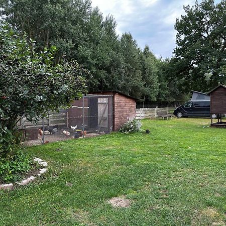 Zamieszkaj Na Wsi Blisko Warszawy Villa Borucza Eksteriør billede