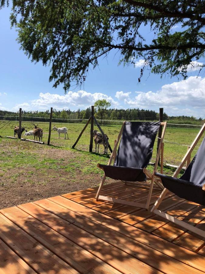 Zamieszkaj Na Wsi Blisko Warszawy Villa Borucza Eksteriør billede